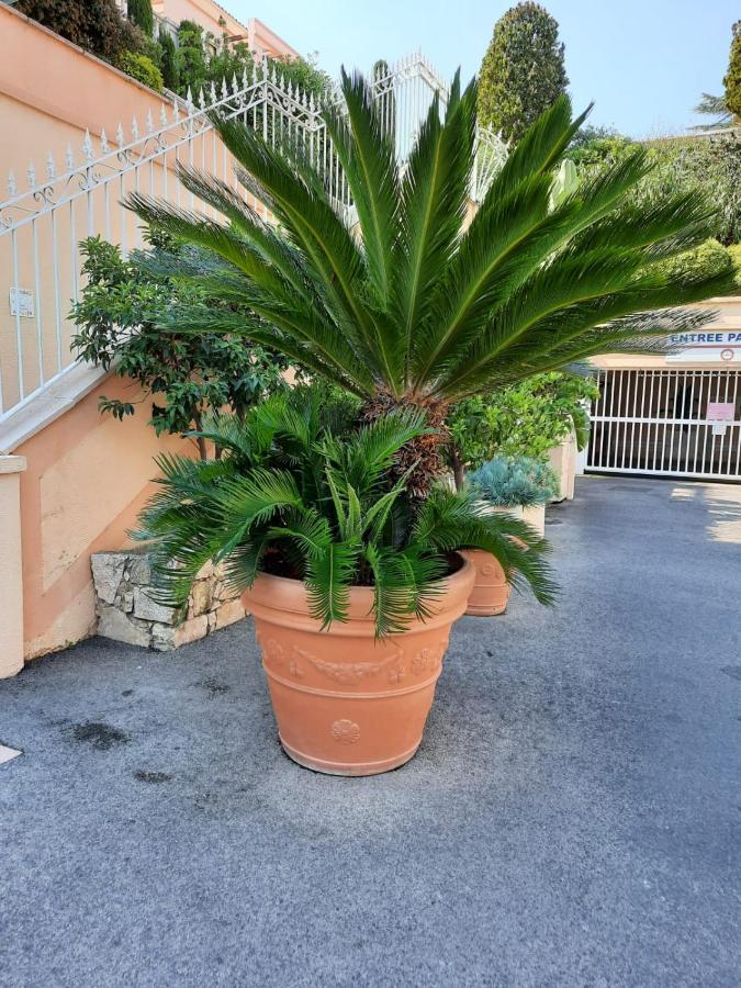 Superbe Appartement Une Chambre Vue Mer Piscine Tennis Cannes Exterior photo